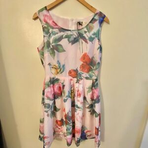 NWT Molly Bracken ModCloth dress size Small
